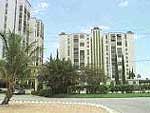 florida condos st pete beach 3 palms pointe c