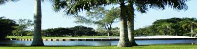 golfing-homes-tampa-bay-florida-pinellas-county-golf-course-home