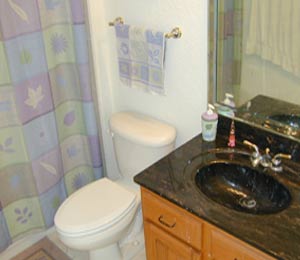pinellas-real-estate-bath-photos condos for sale florida