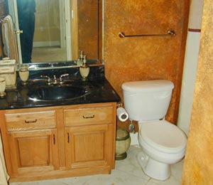 pinellas-real-estate-bathrooms photos florida waterfront condos for sale